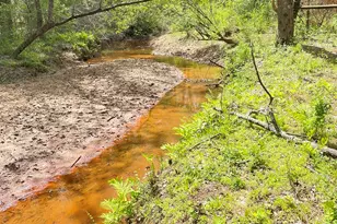 655 Holman-Autry Rd, Danielsville, GA 30633 - Photo 138