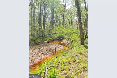 655 Holman Autry Road, Danielsville, GA 30633 - Photo 138