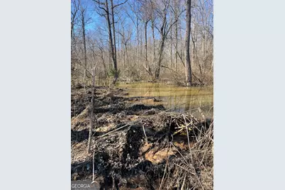 655 Holman Autry Road, Danielsville, GA 30633 - Photo 116