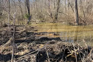 655 Holman-Autry Rd, Danielsville, GA 30633 - Photo 116