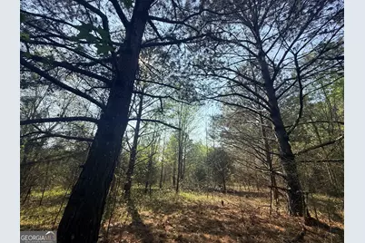 3065 Sycamore Road, Royston, GA 30662 - Photo 28