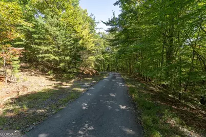 Lot 6/7 Raintree Bend #LOT 6/7, Blue Ridge, GA 30513 - Photo 4
