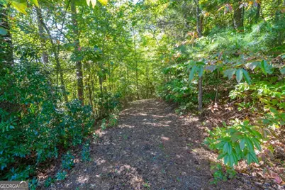 Lot 6/7 Raintree Bend #LOT 6/7, Blue Ridge, GA 30513 - Photo 6