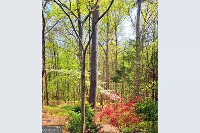 2811 Ike Stone Rd, Monroe, GA 30656 - Photo 24