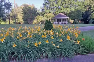 2811 Ike Stone Rd, Monroe, GA 30656 - Photo 26