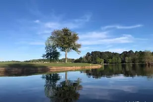 40 Hidden Woods Ln, Newnan, GA 30265 - Photo 84