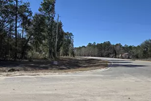 5037 Cherry Wood Dr, Ellabell, GA 31308 - Photo 12