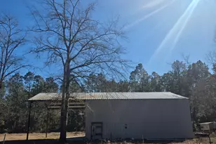 5037 Cherry Wood Dr, Ellabell, GA 31308 - Photo 22