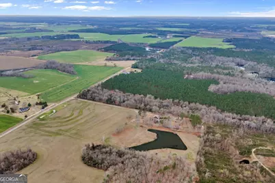 3591 Milan Eastman Road, Milan, GA 31060 - Photo 110