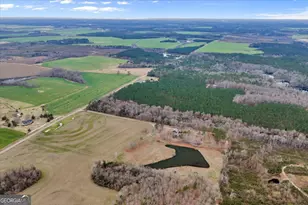 3591 Milan Eastman Rd, Milan, GA 31060 - Photo 110