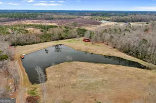 3591 Milan Eastman Rd, Milan, GA 31060 - Photo 98