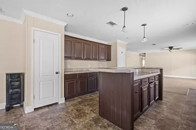 611 Sandy Run Road, Jesup, GA 31545 - Photo 10