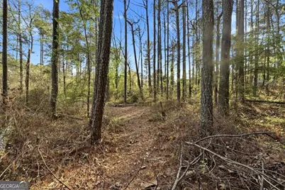 2452 Camp Mitchell Road, Grayson, GA 30017 - Photo 76