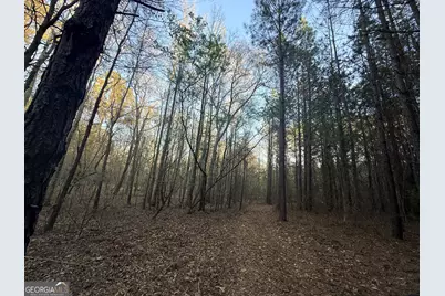 8 Hollis Norman Road, Tignall, GA 30668 - Photo 16