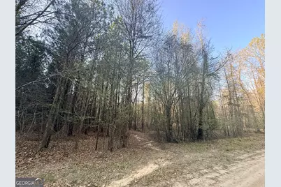8 Hollis Norman Road, Tignall, GA 30668 - Photo 28
