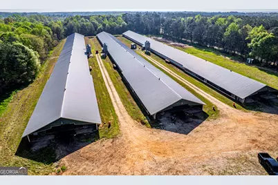 125 Walker Gresham Road, Stephens, GA 30667 - Photo 4