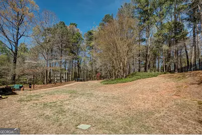 209 Portico Place, Peachtree City, GA 30269 - Photo 68