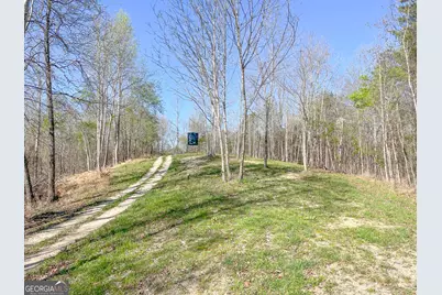 65 +/- Acres On Half Mile Road, Lyerly, GA 30730 - Photo 10