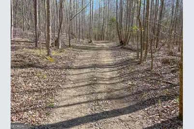 65 +/- Acres On Half Mile Road, Lyerly, GA 30730 - Photo 40