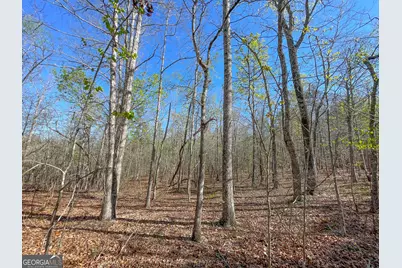 65 +/- Acres On Half Mile Road, Lyerly, GA 30730 - Photo 4