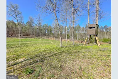 65 +/- Acres On Half Mile Road, Lyerly, GA 30730 - Photo 6