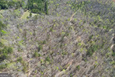 65 +/- Acres On Half Mile Road, Lyerly, GA 30730 - Photo 48