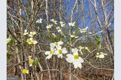 65 +/- Acres On Half Mile Road, Lyerly, GA 30730 - Photo 38