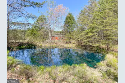 65 +/- Acres On Half Mile Road, Lyerly, GA 30730 - Photo 14