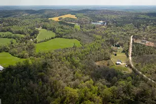 647 Pine Valley Rd, Meansville, GA 30256 - Photo 40