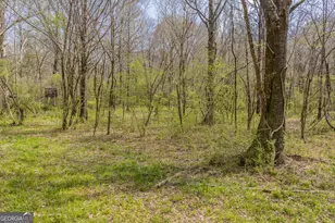 647 Pine Valley Rd, Meansville, GA 30256 - Photo 90