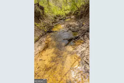 647 Pine Valley Road, Meansville, GA 30256 - Photo 44