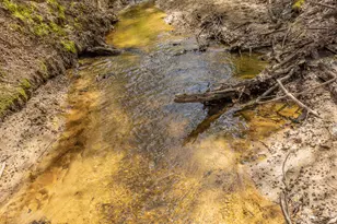 647 Pine Valley Rd, Meansville, GA 30256 - Photo 44