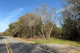 003 Ga Hwy 45, White Plains, GA 31780 - Photo 1