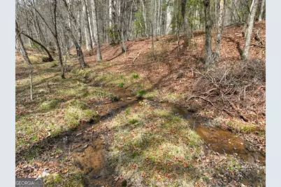 82 Indian Trace, Mineral Bluff, GA 30559 - Photo 58