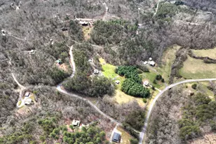 82 Indian Trace, Mineral Bluff, GA 30559 - Photo 70