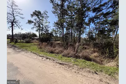 Pt Lt 24X E West Autobahn Road, Sapelo Island, GA 31327 - Photo 4