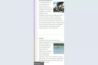 Pt Lt 24X E West Autobahn Road, Sapelo Island, GA 31327 - Photo 18