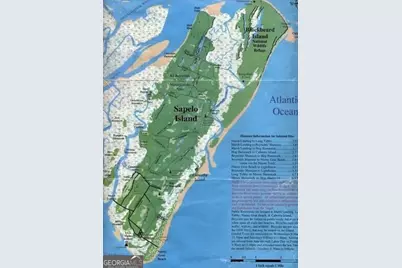 Pt Lt 24X E West Autobahn Road, Sapelo Island, GA 31327 - Photo 2