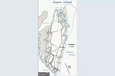 Pt Lt 24X E West Autobahn Road, Sapelo Island, GA 31327 - Photo 16