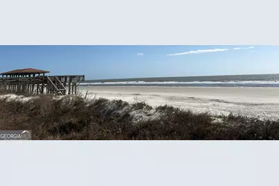 Pt Lt 24X E West Autobahn Road, Sapelo Island, GA 31327 - Photo 8