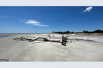 Pt Lt 24X E West Autobahn Road, Sapelo Island, GA 31327 - Photo 26