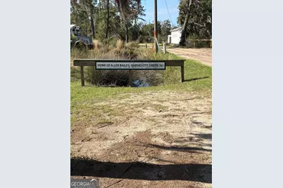 Pt Lt 24X E West Autobahn Road, Sapelo Island, GA 31327 - Photo 22