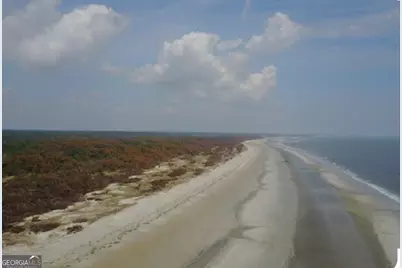 Pt Lt 24X E West Autobahn Road, Sapelo Island, GA 31327 - Photo 28