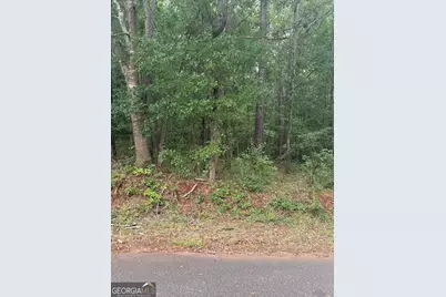 0 Glenwood Road, Thomaston, GA 30286 - Photo 2