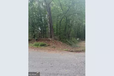 0 Glenwood Road, Thomaston, GA 30286 - Photo 6