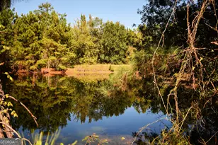 496 Gray's Landing Rd, Uvalda, GA 30473 - Photo 18