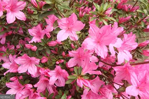 3 View Dr SE, Rome, GA 30161 - Photo 8