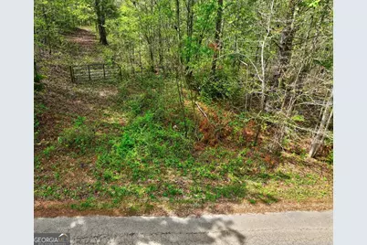 Lot 18 Shady Farms Road, Monticello, GA 31064 - Photo 14