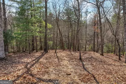 Lt 13 Rocky Ridge, Mineral Bluff, GA 30559 - Photo 6