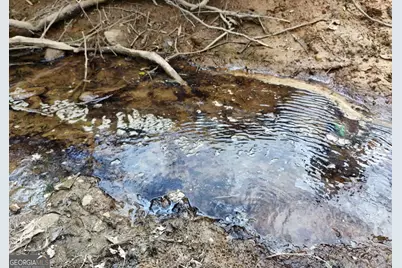 138 Paradise Lane, Blairsville, GA 30512 - Photo 6